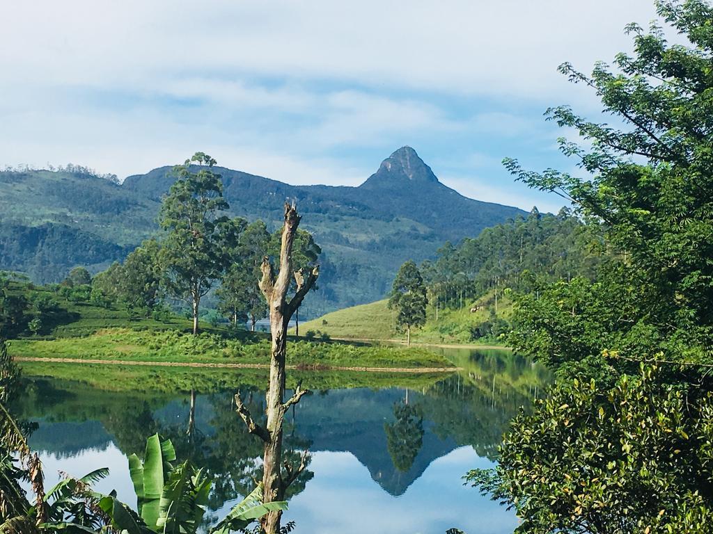 Butterfly Mountain Lake Side Maskeliya Екстер'єр фото