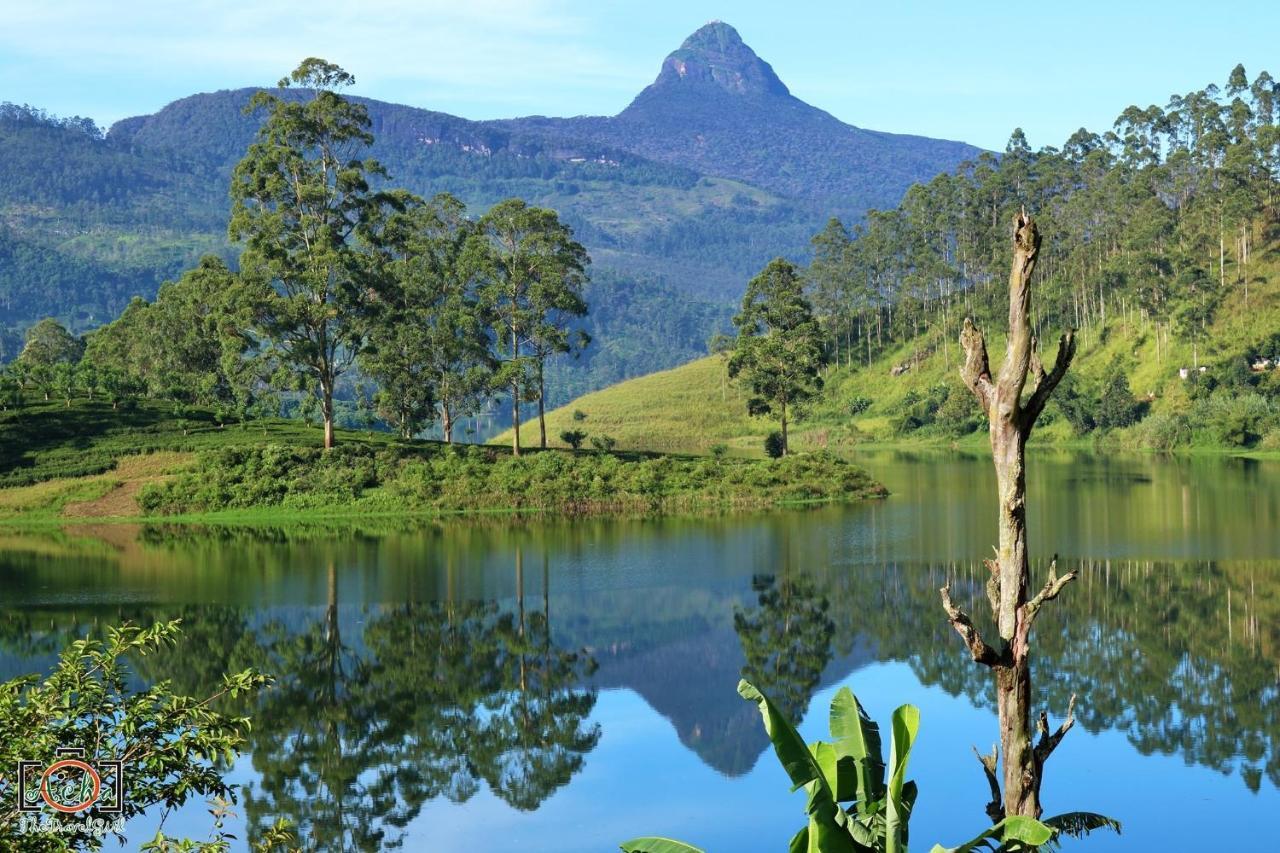 Butterfly Mountain Lake Side Maskeliya Екстер'єр фото